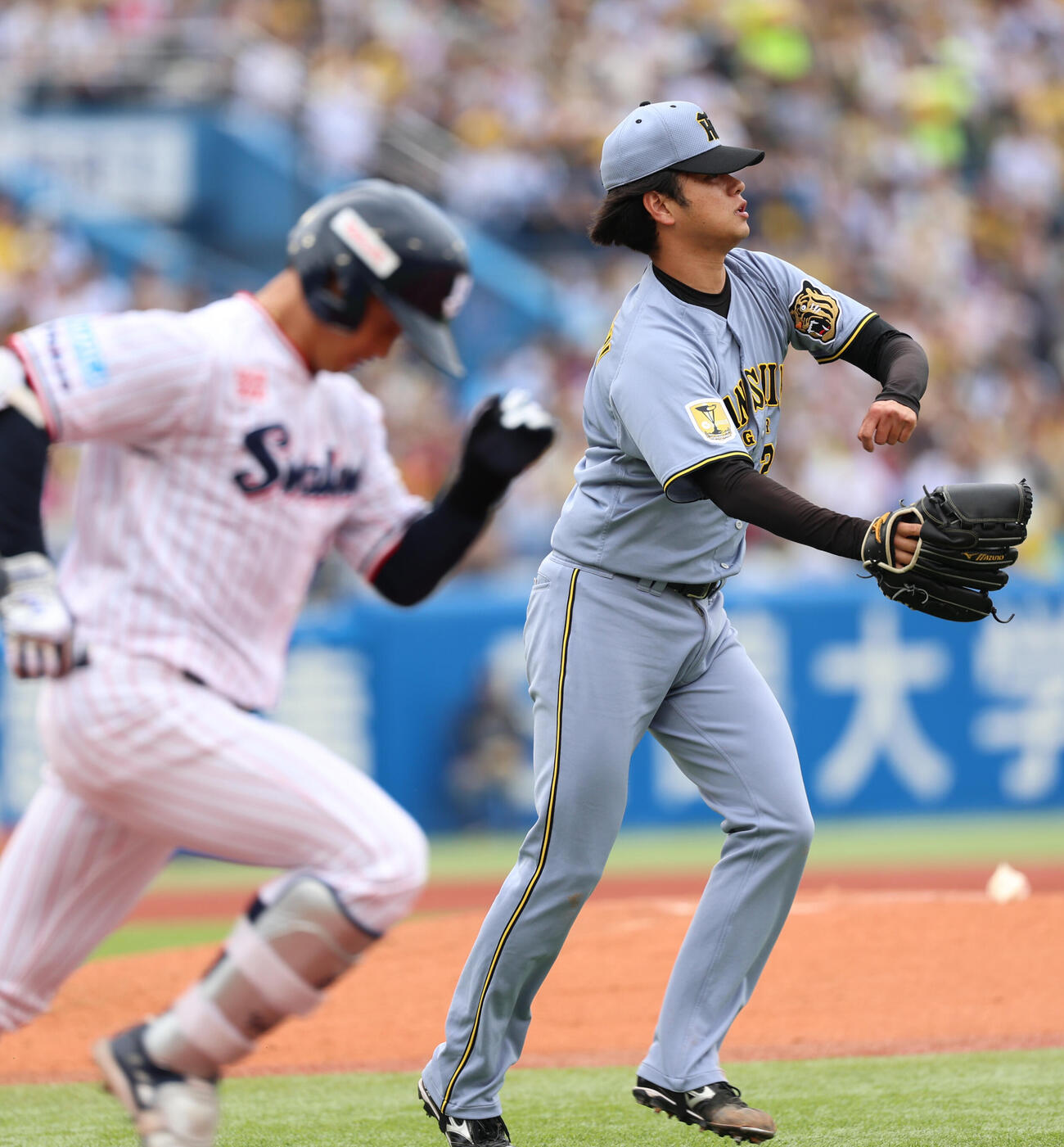 ヤクルト対阪神　2回裏ヤクルト2死、岩田幸宏の投ゴロを処理する高橋遙人（撮影・水谷安孝）