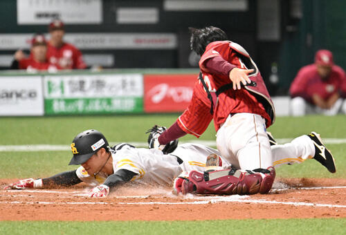 ソフトバンク対楽天　7回裏ソフトバンク1死二、三塁、本塁に滑り込む庄子（左）（2026年4月撮影）