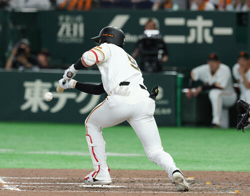 巨人対ヤクルト　8回裏巨人1死一、二塁、犠打を失敗した松本剛（撮影・増田悦実）