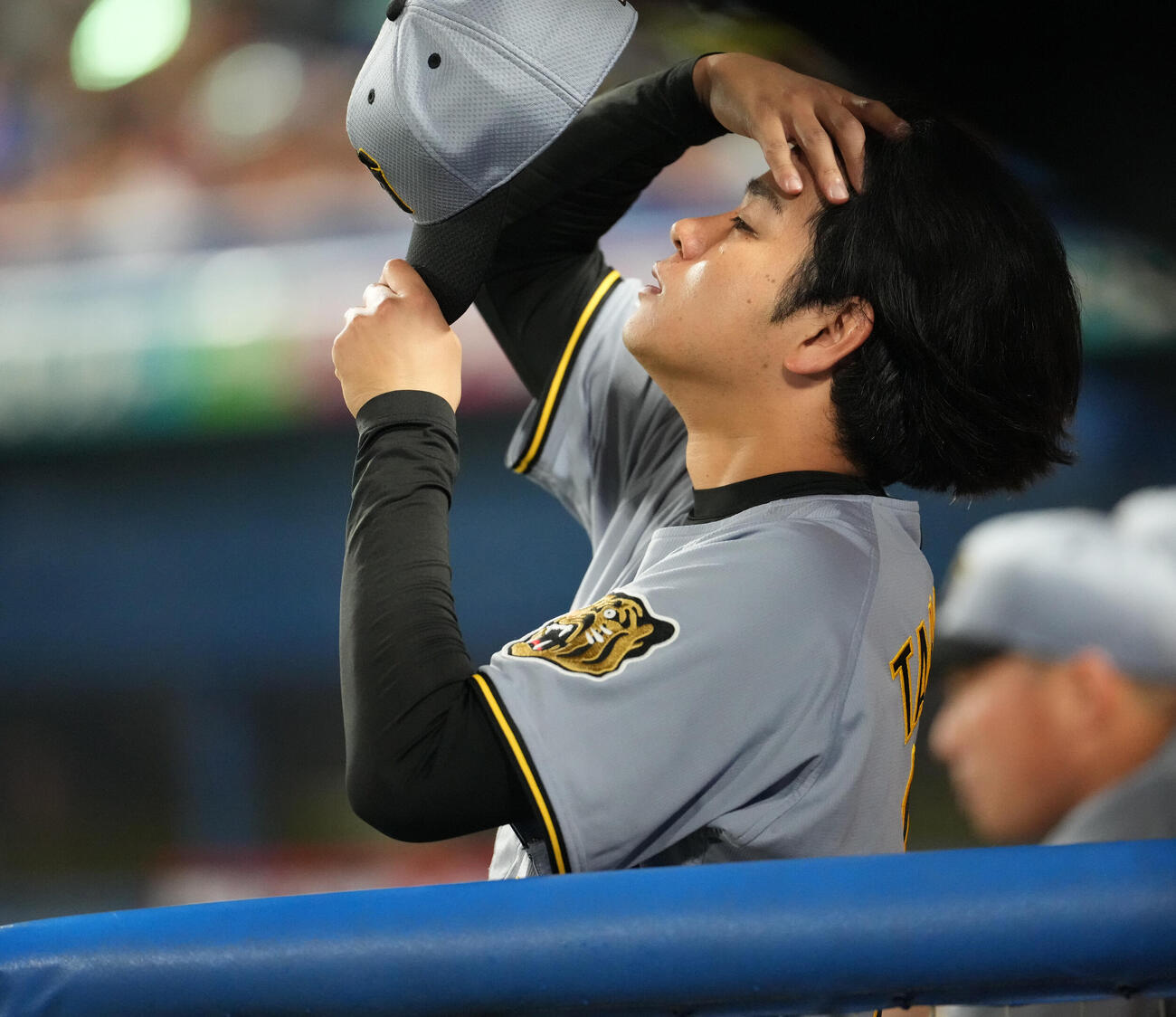 ヤクルト対阪神　8回、ベンチから試合を見る阪神高橋遥人（撮影・清水貴仁）