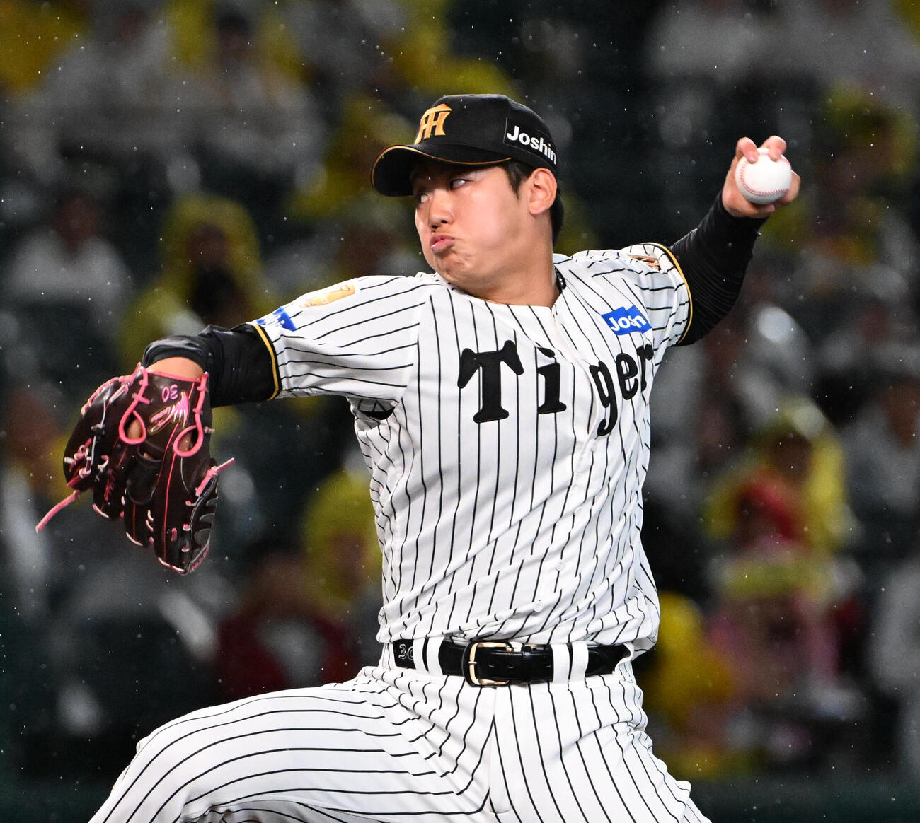 セ・パ交流戦・阪神対日本ハム2回戦　阪神対日本ハム　阪神5番手の門別啓人（撮影・石井愛子）