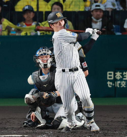 セ・パ交流戦　阪神対日本ハム2回戦　阪神対日本ハム　4回裏阪神2死、二塁打を放つ坂本誠志郎（撮影・上山淳一）