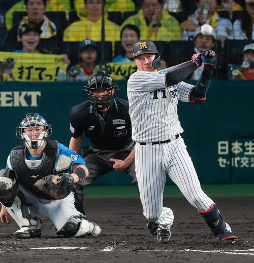 セ・パ交流戦　阪神対日本ハム2回戦　阪神対日本ハム　4回裏阪神無死、大山悠輔は安打を放つ（撮影・上山淳一）