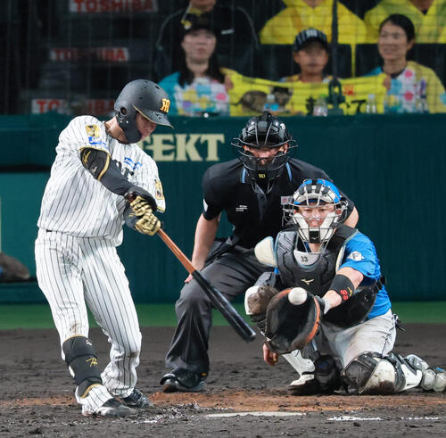 セ・パ交流戦　阪神対日本ハム2回戦　阪神対日本ハム　9回裏阪神2死、中野拓夢は安打を放つ（撮影・上山淳一）