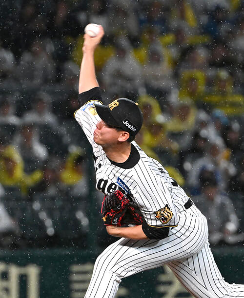 セ・パ交流戦・阪神対日本ハム2回戦　阪神対日本ハム　阪神4番手の畠世周（撮影・石井愛子）