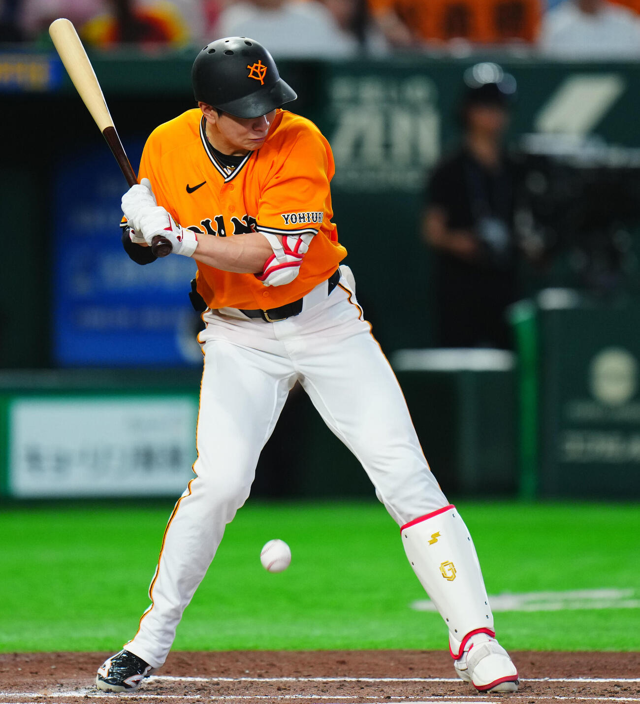 交流戦　巨人対ソフトバンク　2回裏巨人1死一塁、死球を受ける松本剛（撮影・垰建太）