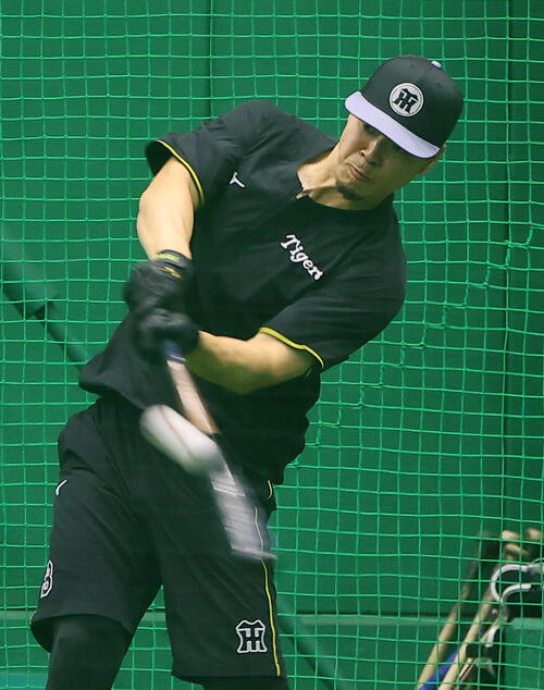 阪神対西武　打撃練習をする佐藤輝明（撮影・上田博志）