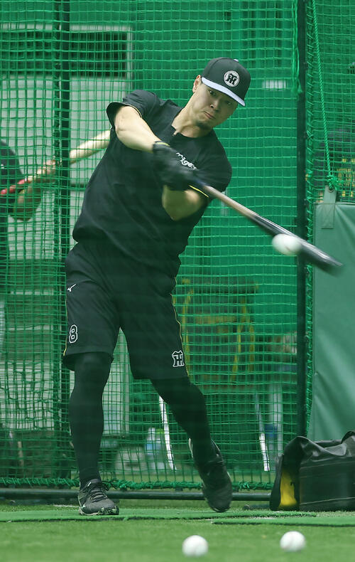 打撃練習を行う阪神佐藤輝明（撮影・前田充）