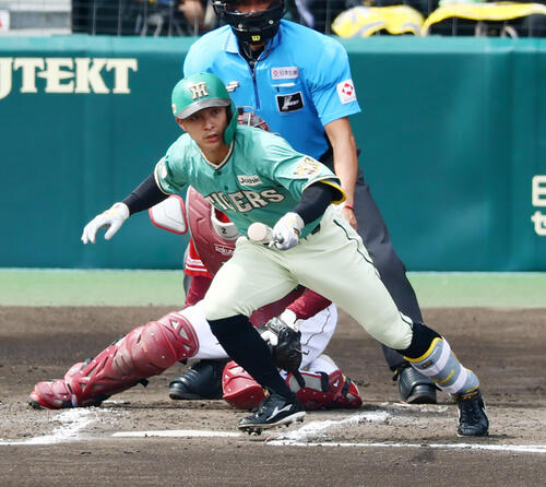 阪神対楽天　2回裏阪神2死一塁、熊谷敬宥は左前打を放つ（撮影・加藤哉）
