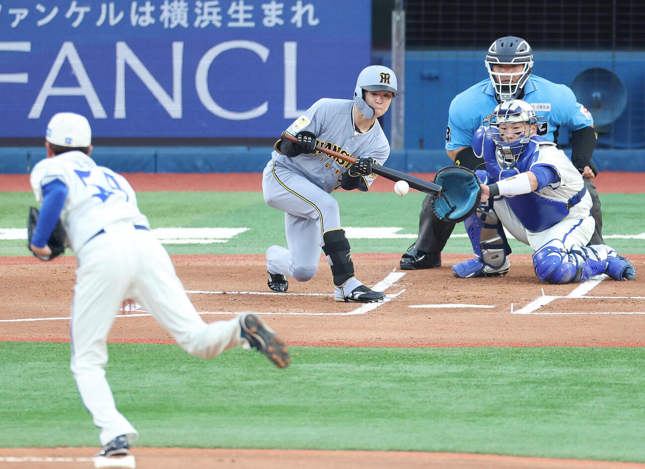 DeNA対阪神　1回表阪神無死一塁、送りバントを決める中野拓夢。投手石田裕太郎（撮影・宮地輝）