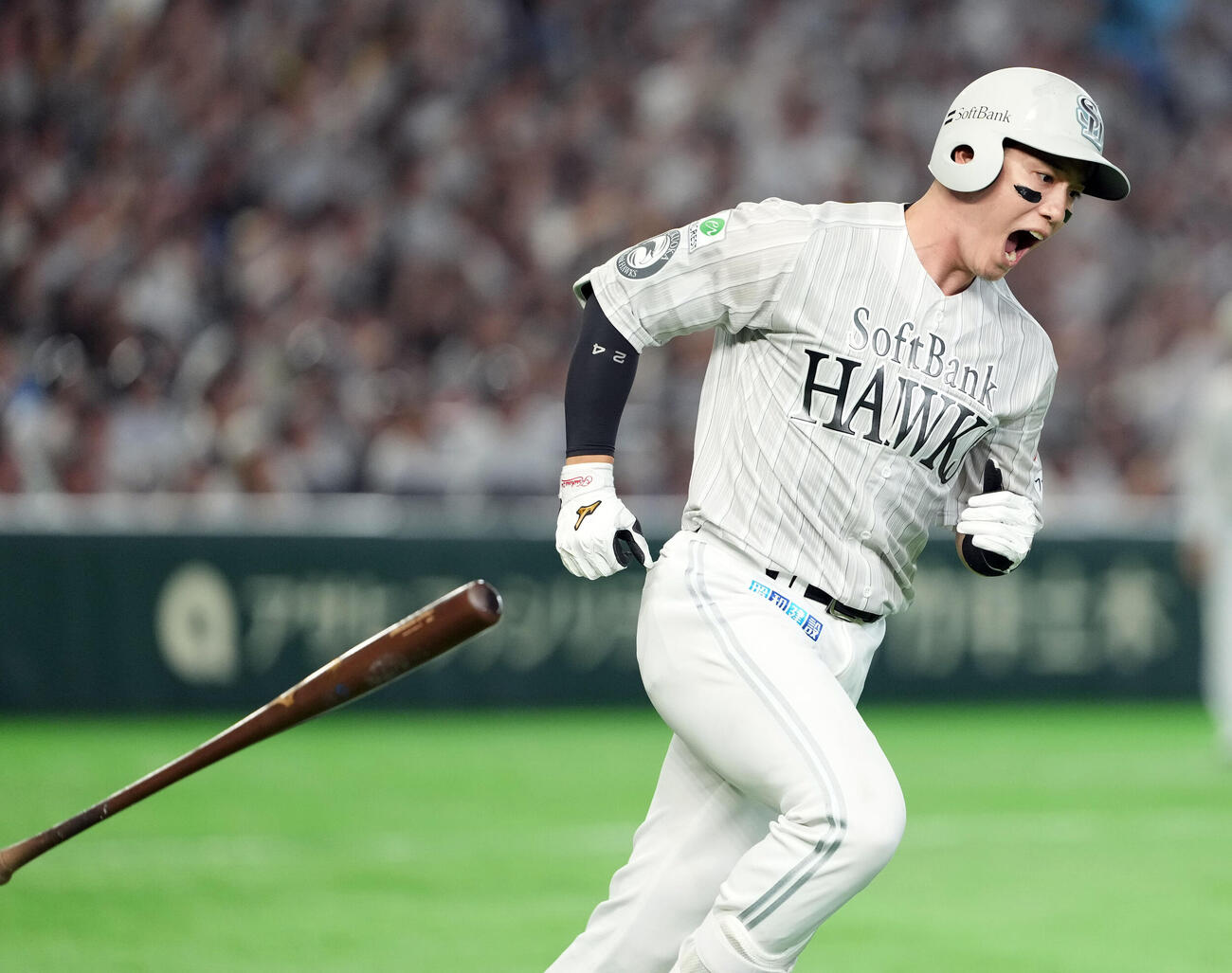 ソフトバンク対西武　7回裏ソフトバンク1死、右越えにソロ本塁打を放ちほえる栗原陵矢（撮影・たえ見朱実）