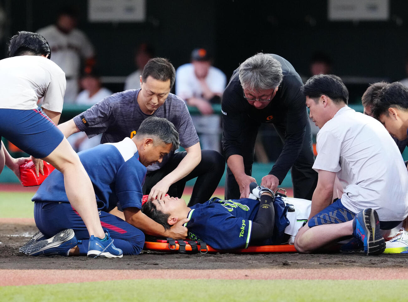 巨人対ヤクルト　2回表ヤクルト無死、死球を受け、頭部を固定される松下歩叶（撮影・江口和貴）