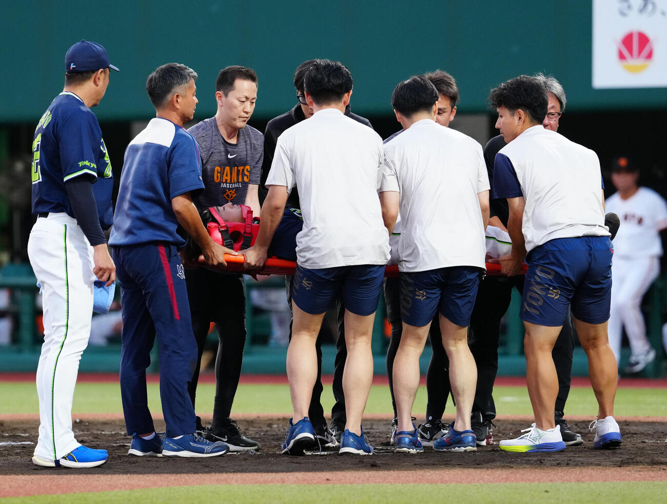 巨人対ヤクルト　2回表ヤクルト無死、頭部に死球を受け、担架で運ばれる松下歩叶（撮影・江口和貴）