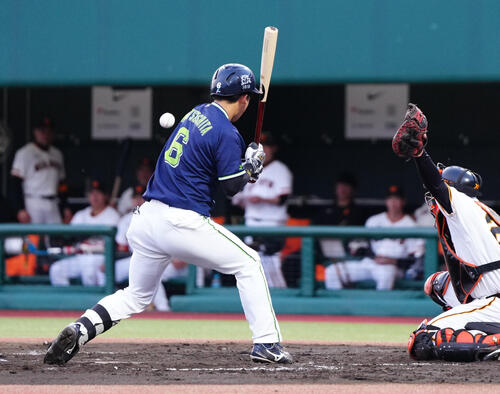 巨人対ヤクルト　2回表ヤクルト無死、頭部に死球を受けた松下歩叶（撮影・江口和貴）