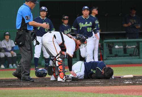巨人対ヤクルト　2回表ヤクルト無死、頭部付近に死球を受け倒れる松下歩叶（右）（撮影・滝沢徹郎）