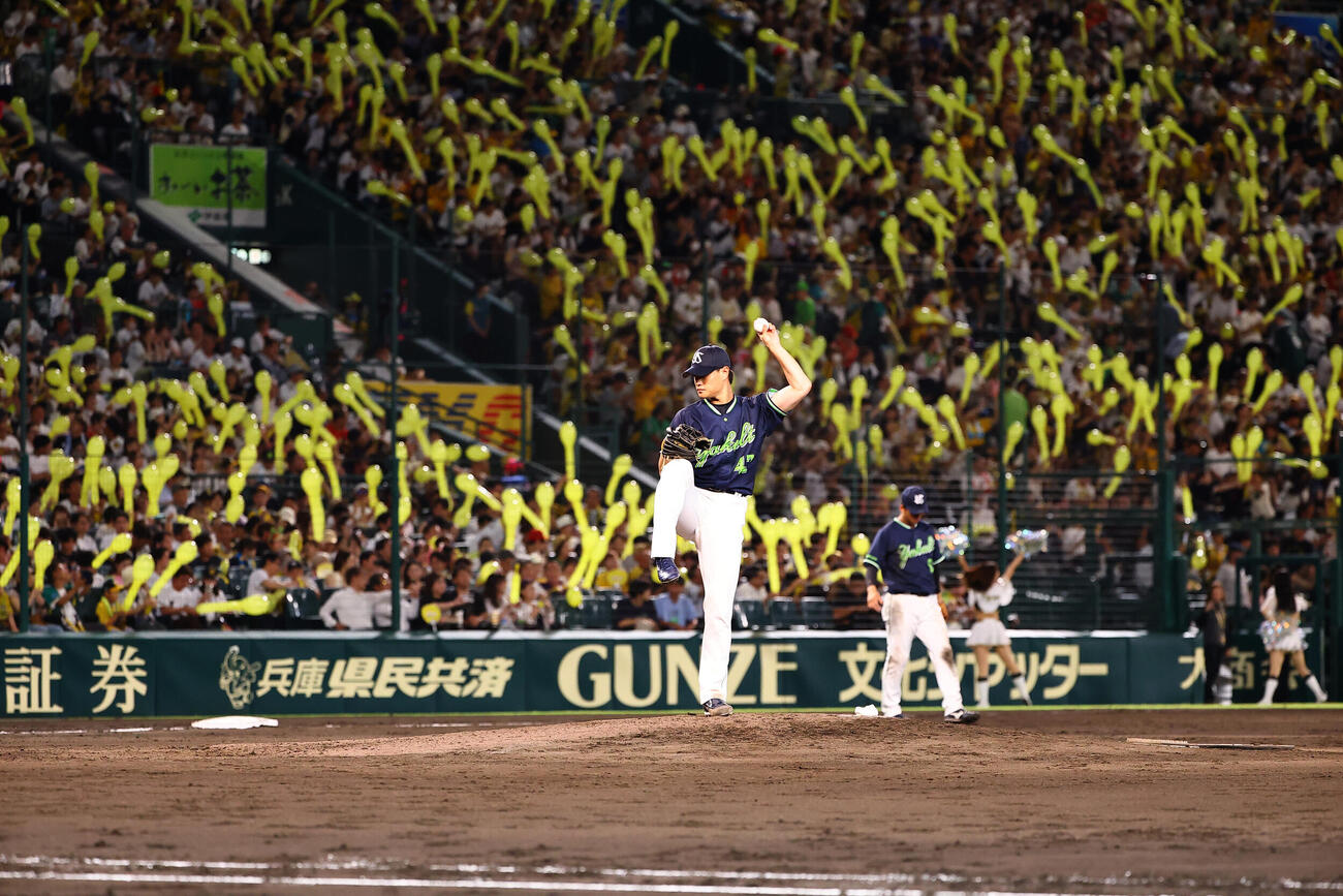 阪神対ヤクルト　ジェット風船を背に投球練習をする先発の高橋奎二（撮影・上田博志）