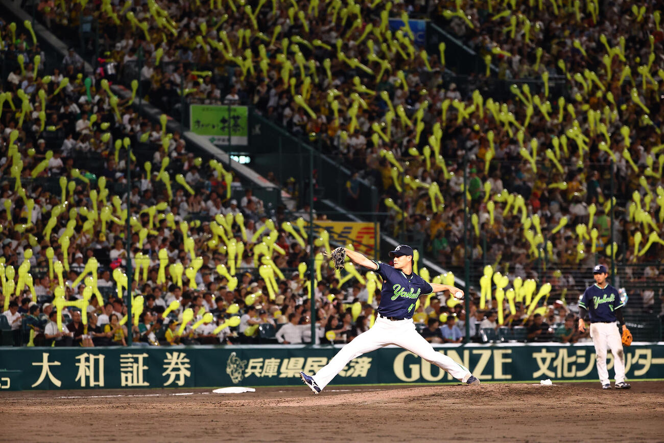 阪神対ヤクルト　ジェット風船を背に投球練習をする先発の高橋奎二（撮影・上田博志）