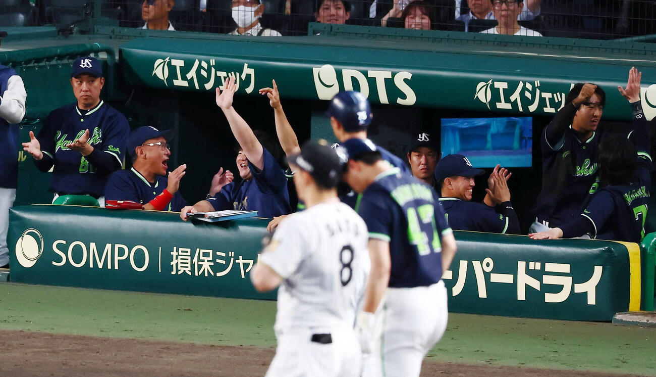 阪神対ヤクルト　5回表ヤクルト1死二、三塁、三走松下歩叶が山野辺翔の野選で生還しビデオ検証の結果セーフ判定にベンチで笑顔を見せる池山隆寛監督とナイン（撮影・加藤哉）