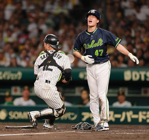 阪神対ヤクルト　5回表ヤクルト1死一、三塁、三走高橋奎二（手前）は岩田幸宏の二ゴロで本塁突入もアウト。捕手坂本誠志郎（撮影・上山淳一）