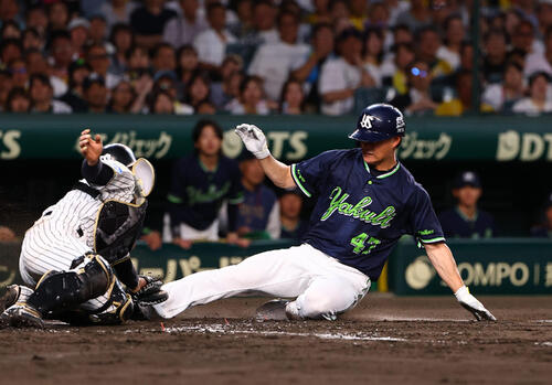 阪神対ヤクルト　5回表ヤクルト1死一、三塁、岩田幸宏の二ゴロで生還を狙うも憤死する高橋奎二（撮影・上田博志）