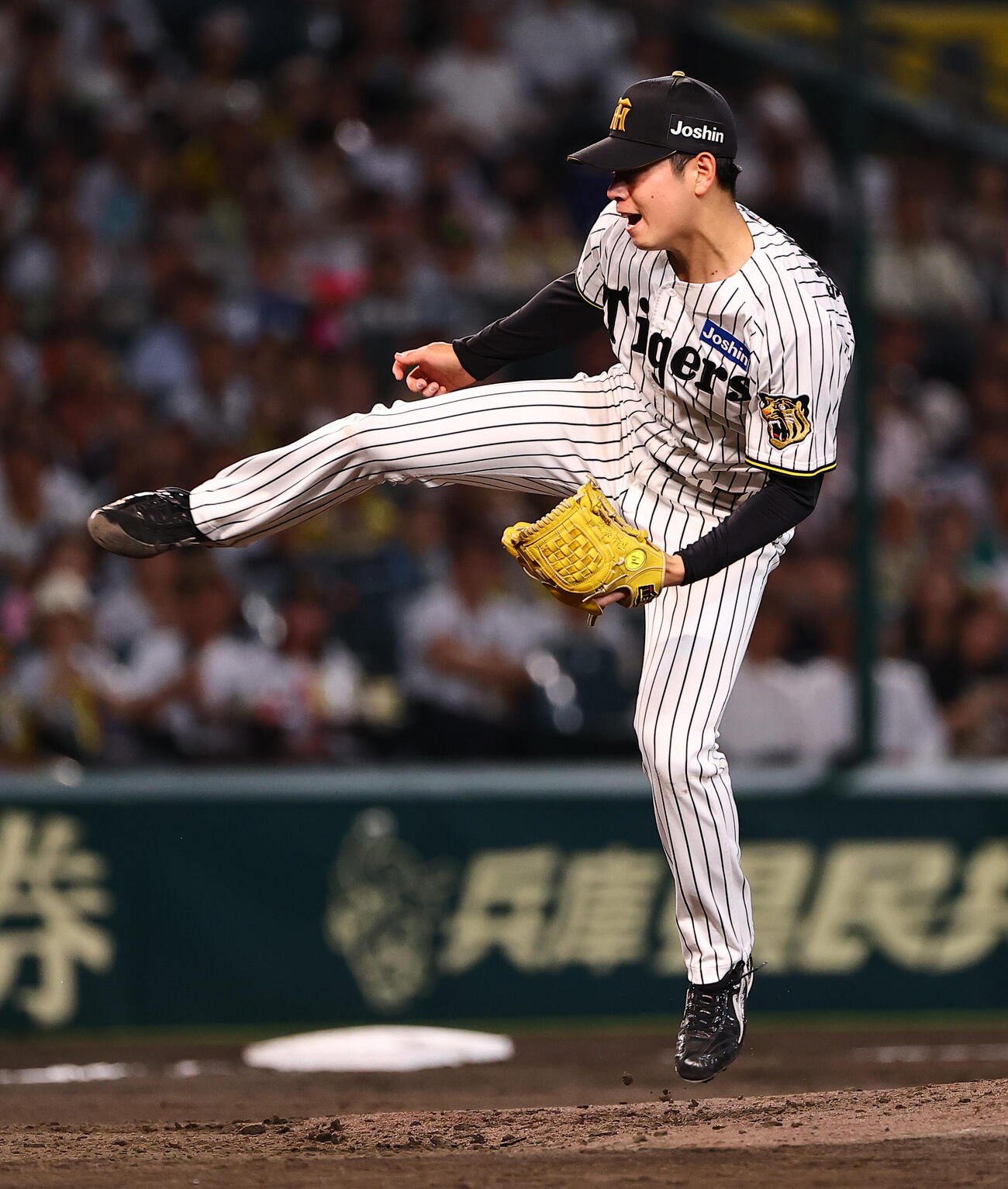 阪神対ヤクルト　5回表ヤクルト2死一、二塁、古賀優大を遊ゴロに打ち取る下村海翔（撮影・上田博志）