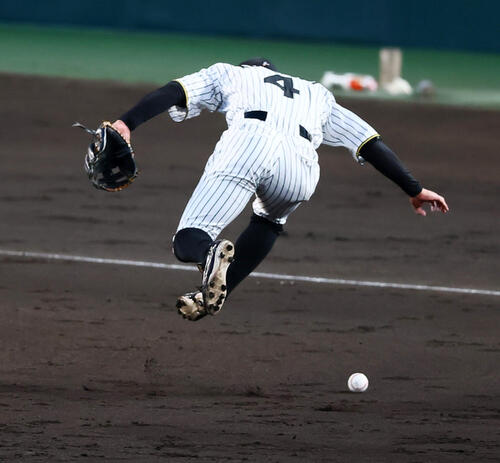 阪神対ヤクルト　5回表ヤクルト1死三塁、高橋奎二の打球をファンブルする熊谷敬宥（撮影・加藤哉）