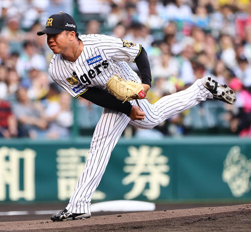 阪神対ヤクルト　阪神先発の村上頌樹（撮影・上田博志）
