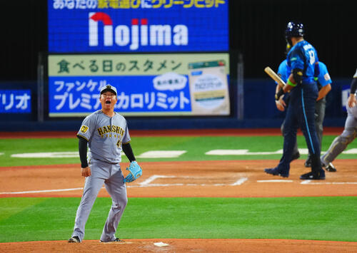 DeNA対阪神　6回裏DeNA2死一塁、ヘラル・エンカーナシオンを三振に仕留め雄たけびをあげる村上頌樹（撮影・垰建太）