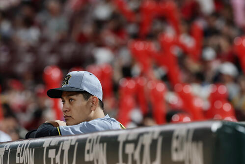 広島対阪神　7回、ベンチから試合を見つめる阪神大竹耕太郎（撮影・前田充）