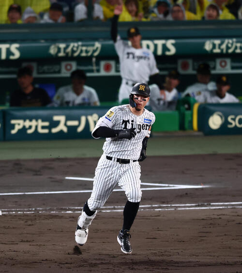 6日、阪神対DeNAで佐藤輝明は右中間に本塁打を放ちダイヤモンドを駆ける