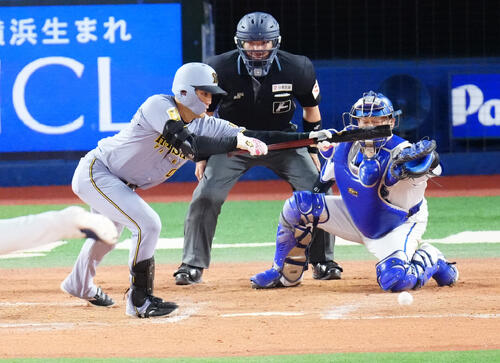 DeNA対阪神　9回表阪神無死一、二塁、スリーバント失敗となる元山飛優（撮影・江口和貴）