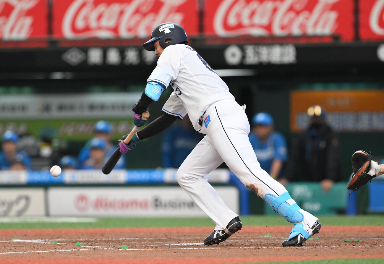 西武対日本ハム　5回裏西武無死、長谷川信哉はセーフティーバントを決める（撮影・滝沢徹郎）