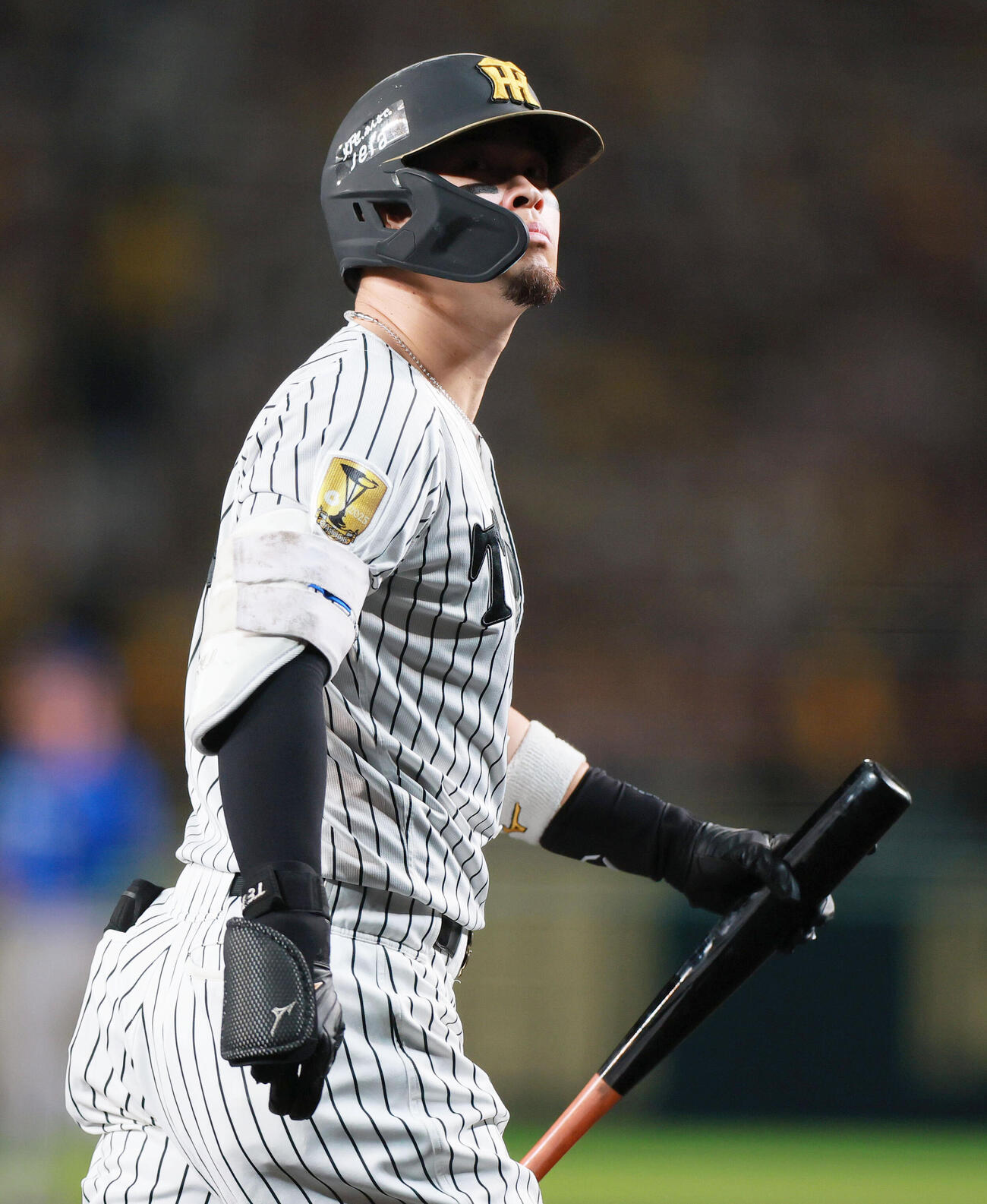阪神対DeNA 2回裏阪神無死、佐藤輝明は空振り三振に倒れる（撮影・上山淳一）