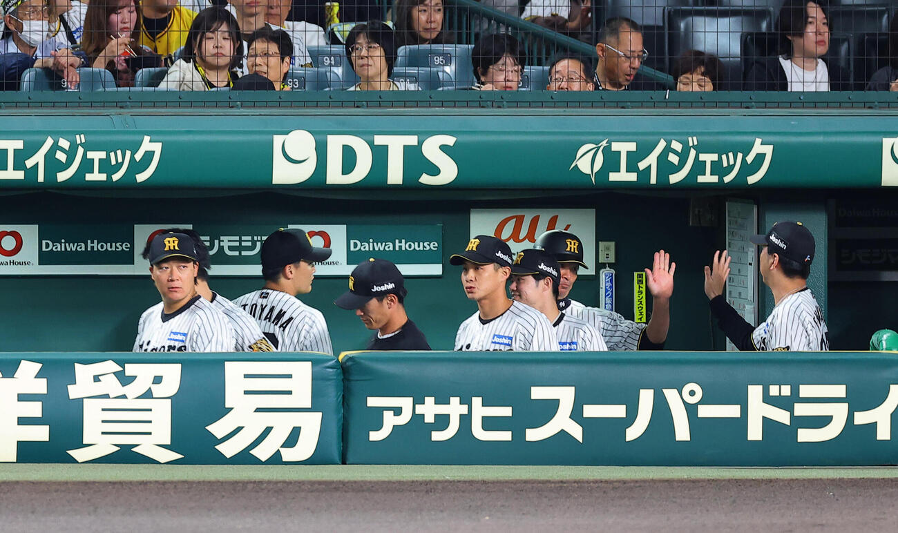 阪神対DeNA　試合前のハイタッチに佐藤輝明の姿はなかった（撮影・上田博志）