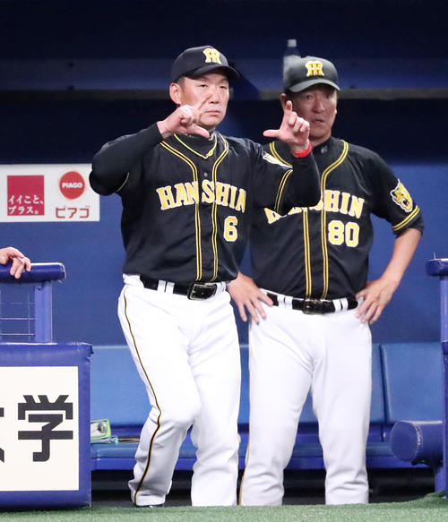 リクエストをする金本監督（２０１８年５月２０日撮影）