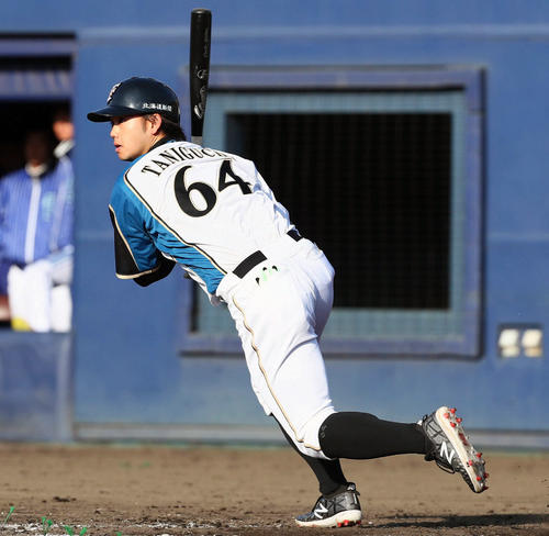 日本ハム谷口雄也