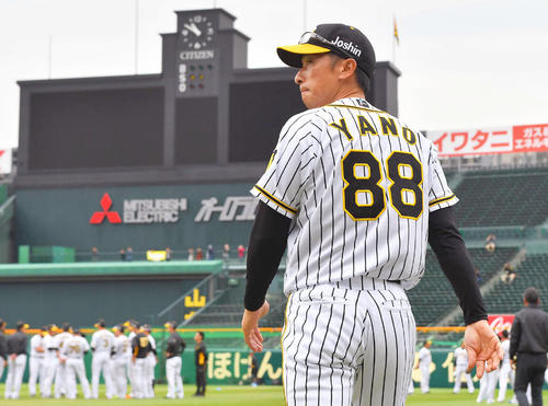 甲子園球場に入る矢野燿大監督