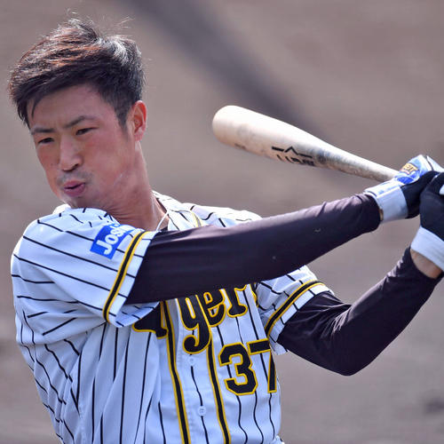 打撃練習をして汗を流す森越祐人（2018年11月17日撮影）