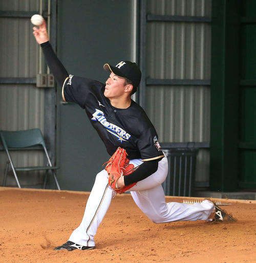 日本ハム吉田輝星（2019年2月7日撮影）