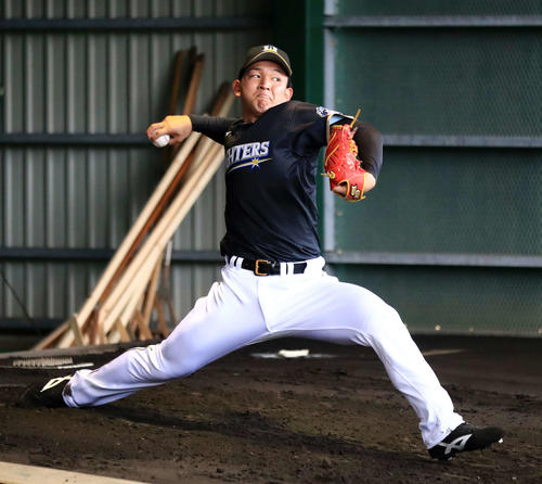 日本ハム柿木蓮（2019年2月5日撮影）