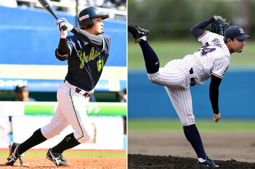 ヤクルト吉田大成（左）と星知弥