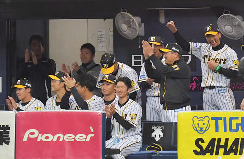 ｓｎｓでも話題 阪神の明るいベンチの真相に迫る プロ野球番記者コラム 野球コラム 日刊スポーツ