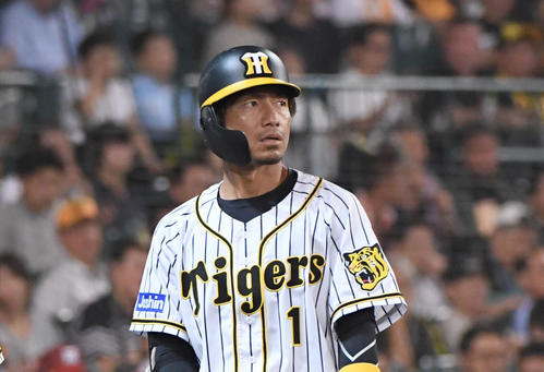 阪神対巨人　7回裏阪神2死、代打準備をしていた鳥谷は、状況が変わってベンチに戻る（撮影・奥田泰也）