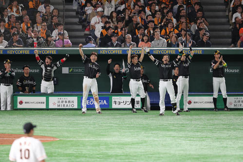巨人対ソフトバンク　4回表ソフトバンク2死満塁、デスパイネの左2点適時打に沸くソフトバンクナイン（撮影・梅根麻紀）