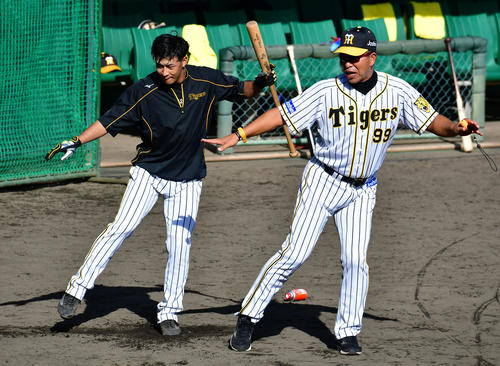 阪神コーチ陣の指導に熱 選手と一緒に泥まみれ プロ野球番記者コラム 野球コラム 日刊スポーツ