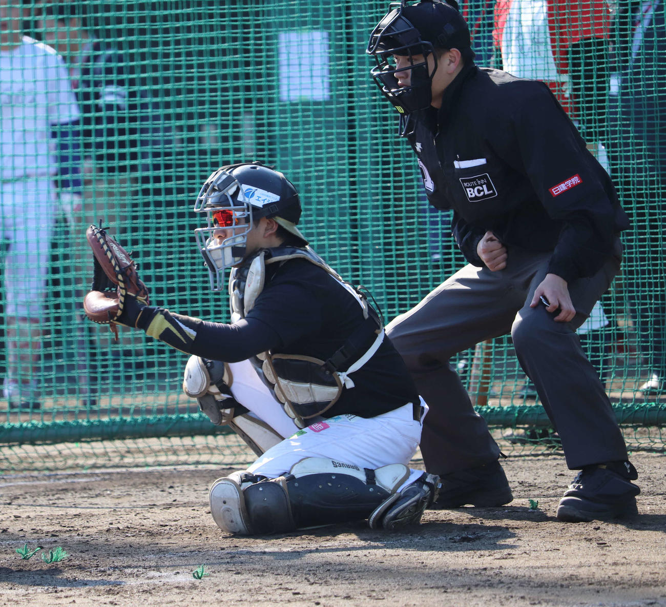 BCリーグのトライアウトでマスクを被る根本和也捕手（撮影・湯本勝大）