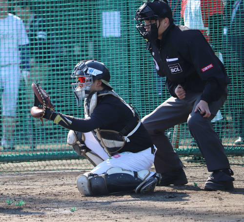 BCリーグのトライアウトでマスクを被る根本和也捕手（撮影・湯本勝大）