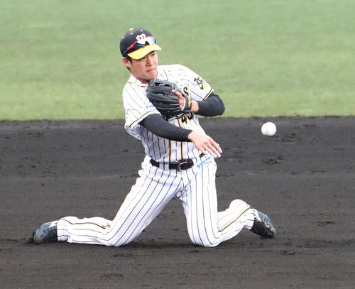 阪神対巨人　7回表巨人2死一、二塁、遠藤は増田の打球を好捕し二塁封殺（2020年3月8日撮影）