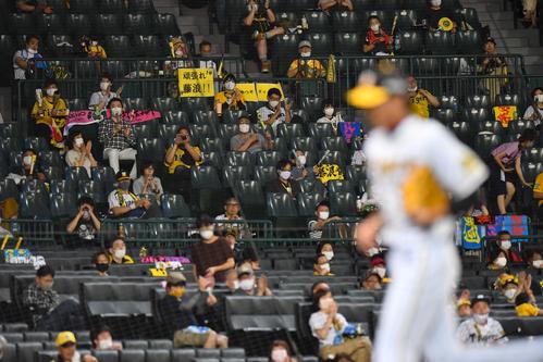23日広島戦、降板する藤浪にあたたかい拍手を送るファン