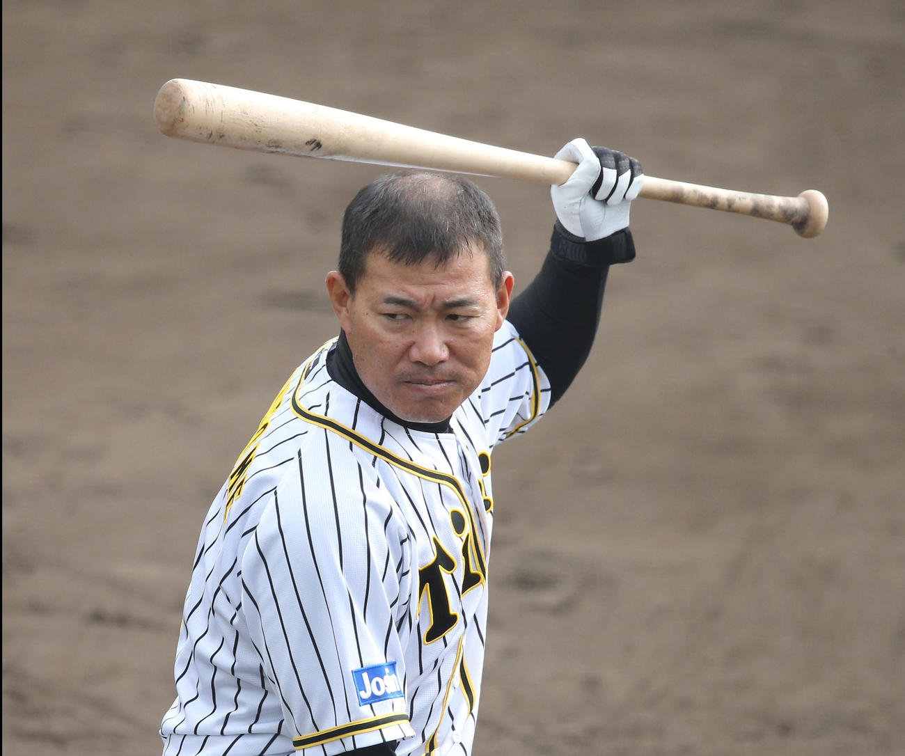 打撃練習を行う阪神福留（代表撮影）
